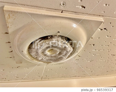 換気口をふさぐほこり 98539317