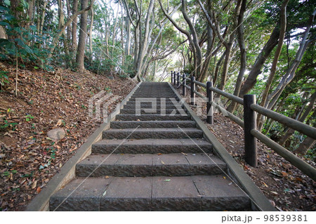 佐賀県唐津市 七ツ釜園地遊歩道 佐賀県唐津市 七ツ釜園地遊歩道 98539381