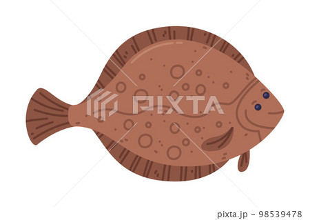 Plaice Flatfish as Seafood and Fresh Sea Product Vector Illustration 98539478