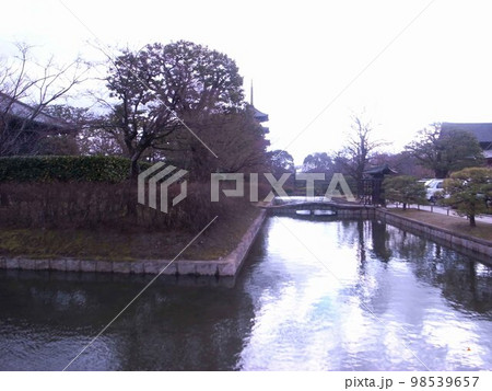 冬の京都東寺 98539657