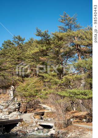 草津温泉にある西の河原公園の美しい風景 草津温泉にある西の河原公園の美しい風景 98540443