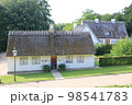 デンマークの伝統的な建物 98541783