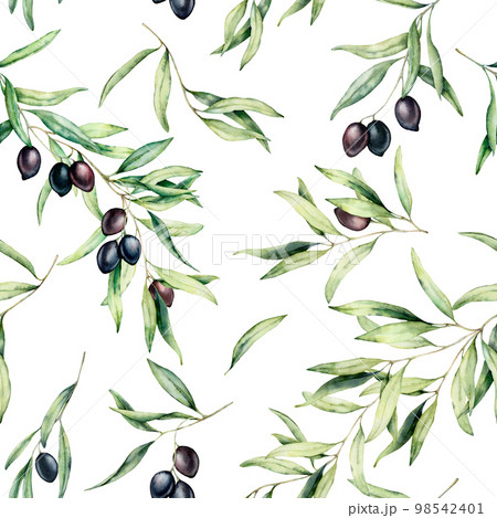 Watercolor seamless pattern with olive tree branch, black olives, and leaves. Hand painted botanical illustration isolated on white background for design, print, fabric or background. 98542401