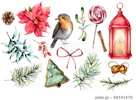 Watercolor set with Christmas symbols. Hand painted winter plants, bullfinch bird, decor isolated on white background. Holiday floral and objects illustration for design, print, background 98542478