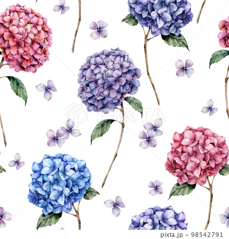 Watercolor pink and blue hydrangea seamless pattern. Hand painted blue, violet, pink flowers with leaves and branch isolated on white background.  Nature botanical illustration for design, print 98542791