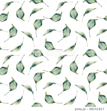 Watercolor leaves seamless pattern. Hand painted leaves isolated on white background. Floral illustration for design, print, fabric or background. 98542827