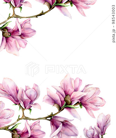 Watercolor magnolia and leaves vertical card. Hand painted border with flowers on branch isolated on white background. Floral elegant illustration for design, print. Watercolor magnolia and leaves vertical card. Hand painted border with flowers on branch isolated on white background. Floral elegant illustration for design, print. 98543003