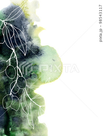 Watercolor card with dark spot and plants. Sketch olives, branches and leaves. Hand painted floral illustration isolated on white background for design, print, fabric or background. 98543117