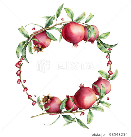 Watercolor pomegranate and berries wreath. Hand painted garnet fruit on branch with leaves isolated on white background. Floral elegant illustration for design, print. 98543254