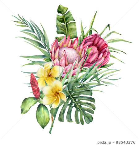Watercolor bouquet with tropical flowers. Hand...のイラスト素材 ...