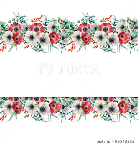 Watercolor border with red and white anemones. Hand painted flowers with eucalyptus leaves and branches, berries isolated on white background. Floral elegant illustration for design, print 98543352