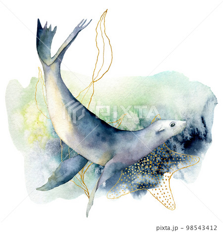 Watercolor sea lion and seaweed composition. Hand painted underwater illustration isolated on white background. Aquatic golden line art illustration for design, print or background. 98543412