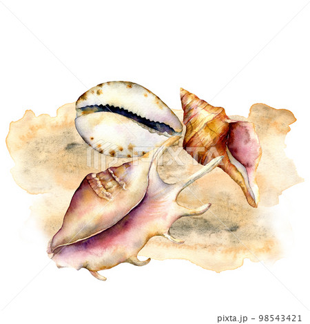Watercolor shells composition on the sand. Hand painted underwater elements isolated on white background. Aquatic illustration for design, print or background. Trendy nautical collection. 98543421