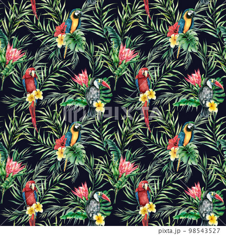 Watercolor toucan and parrot seamless pattern. Hand painted illustration with bird, protea and palm leaves isolated on black background. Wildlife illustration for design, print, fabric, background. Watercolor toucan and parrot seamless pattern. Hand painted illustration with bird, protea and palm leaves isolated on black background. Wildlife illustration for design, print, fabric, background. 98543527