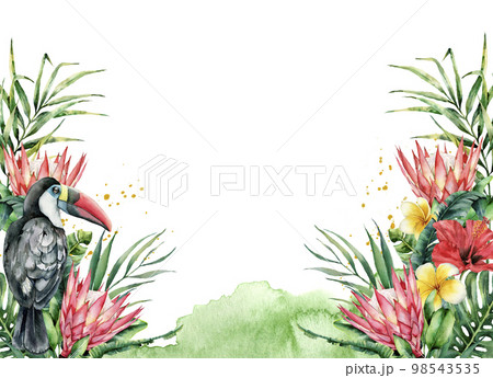 Watercolor tropical flowers and toucan banner. Hand painted bird, protea, hibiscus and plumeria isolated on white background. Nature botanical illustration for design, print. Realistic delicate plant. 98543535