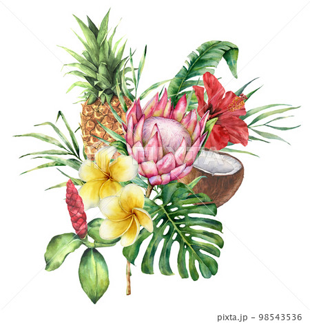 Watercolor tropical flowers and fruit bouquet. Hand painted protea, hibiscus, plumeria, leaves isolated on white background. Nature botanical illustration for design, print. Realistic delicate plant. 98543536