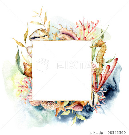 Watercolor border with coral reef plants and seahorse. Hand painted seaweeds, shells and starfish isolated on white background. Nautical template. Illustration for design, print or background. 98543560