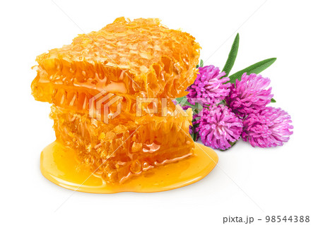 Honeycombs and honey puddle isolated on white background with full depth of field Honeycombs and honey puddle isolated on white background with full depth of field 98544388