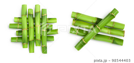 Green bamboo isolated on white background with full depth of field. Top view. Flat lay 98544403