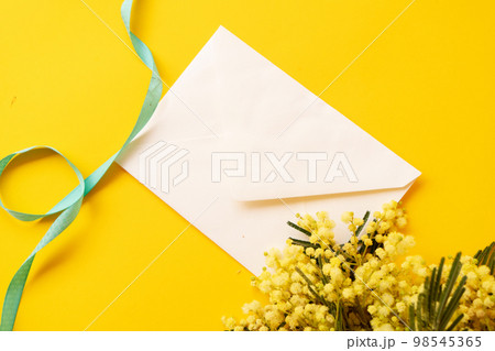 Mimosa fresh flowers 98545365