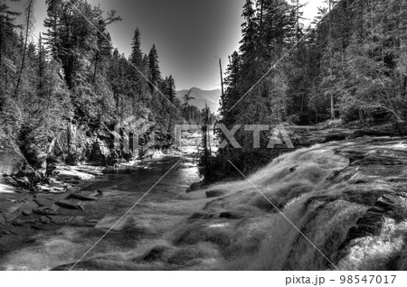 Cascades and rushing water in Avalanche Creek at Glacier National Park, Montana.  98547017