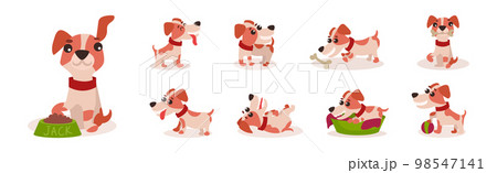 Funny Jack Russell Terrier Puppy with Cute Snout Vector Set Funny Jack Russell Terrier Puppy with Cute Snout Vector Set 98547141