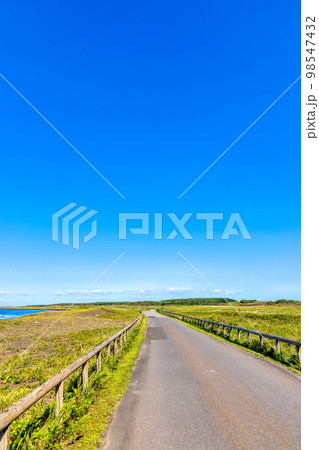 ワッカ原生花園 (北海道　晴れ　サンゴソウ) 98547432