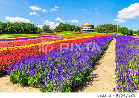 フラワーガーデン はな・てんと (網走　花　9月) 98547539
