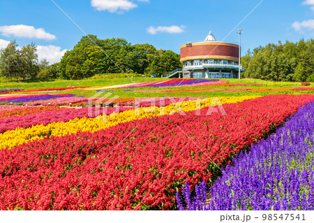 フラワーガーデン はな・てんと (網走　花　9月) 98547541