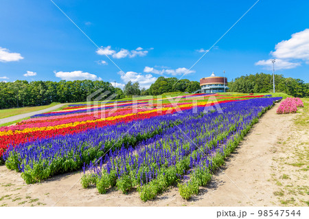 フラワーガーデン はな・てんと (網走　花　9月) 98547544