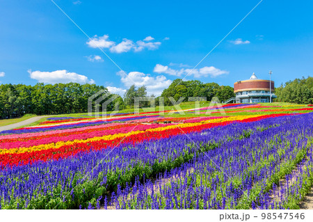 フラワーガーデン はな・てんと (網走 花 9月) フラワーガーデン はな・てんと (網走 花 9月) 98547546