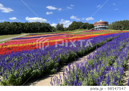 フラワーガーデン はな・てんと (網走　花　9月) 98547547