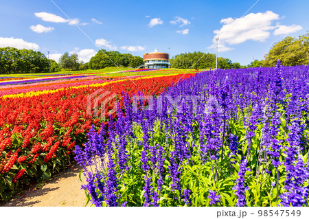 フラワーガーデン はな・てんと (網走　花　9月) 98547549