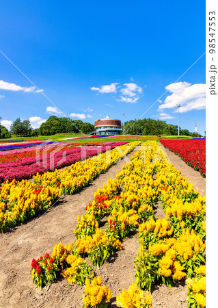 フラワーガーデン はな・てんと (網走　花　9月) 98547553