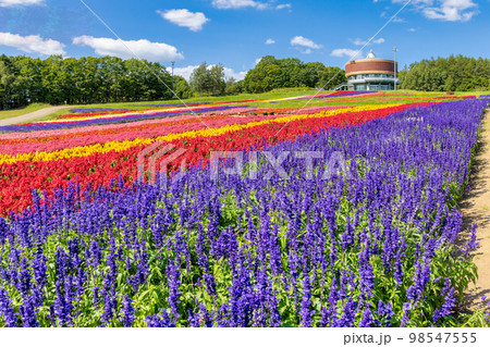 フラワーガーデン はな・てんと (網走　花　9月) 98547555