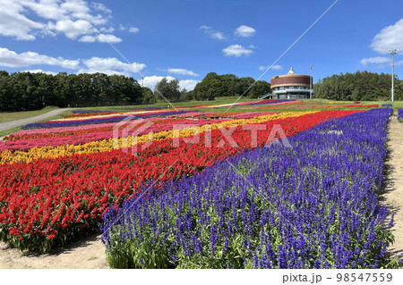フラワーガーデン はな・てんと (網走 花 9月) フラワーガーデン はな・てんと (網走 花 9月) 98547559