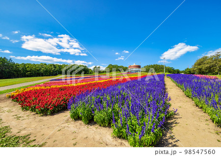 フラワーガーデン はな・てんと (網走 花 9月) フラワーガーデン はな・てんと (網走 花 9月) 98547560