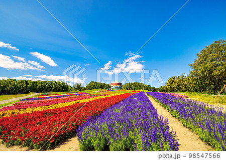 フラワーガーデン はな・てんと (網走　花　9月) 98547566
