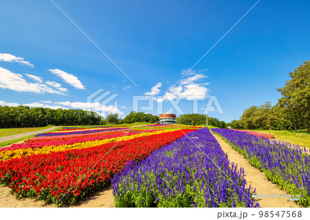フラワーガーデン はな・てんと (網走　花　9月) 98547568