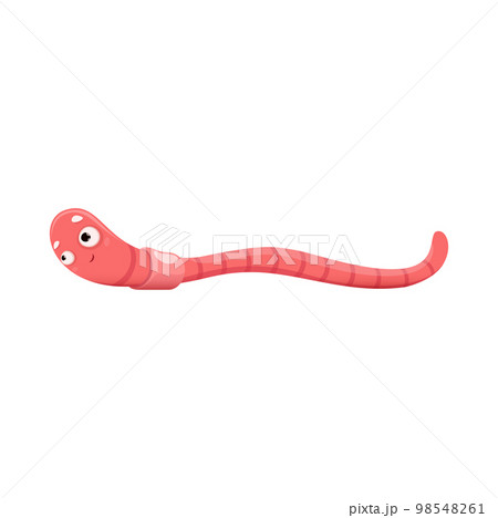 Cartoon funny earth worm crawl, vector earthworm character. Isolated soil or ground insect cute personage with big eyes and smiling face. Compost wildlife insect of pink color, invertebrate worm 98548261