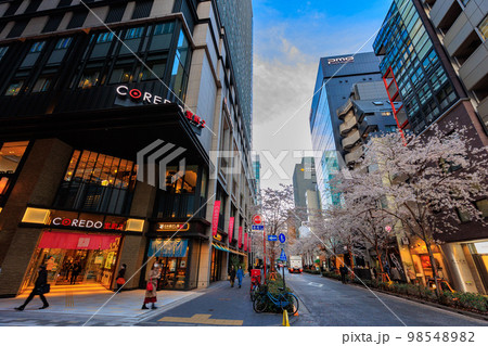 東京 日本橋室町の都市風景 コレド室町と江戸桜通りの桜 東京 日本橋室町の都市風景 コレド室町と江戸桜通りの桜 98548982