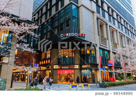 東京　日本橋室町の都市風景　コレド室町と江戸桜通りの桜 98548990