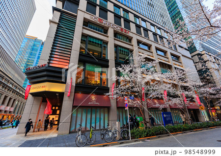 東京　日本橋室町の都市風景　コレド室町と江戸桜通りの桜 98548999