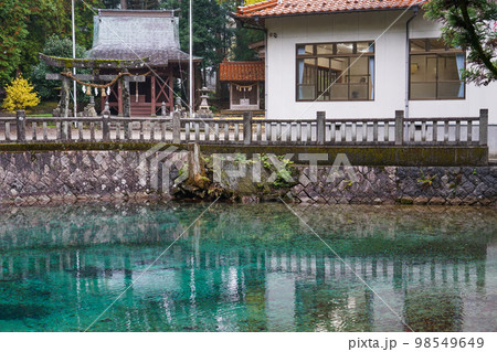 別府弁天池 98549649