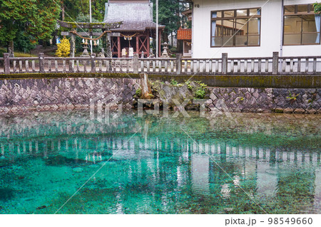 別府弁天池 98549660