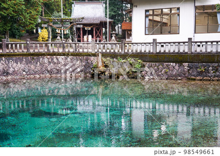 別府弁天池 98549661