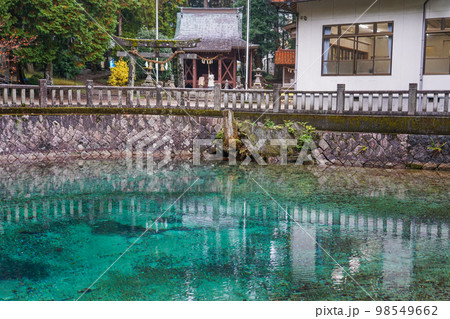 別府弁天池 98549662