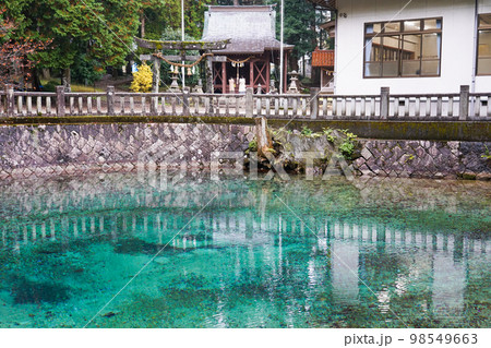 別府弁天池 98549663