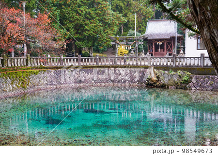 別府弁天池 98549673