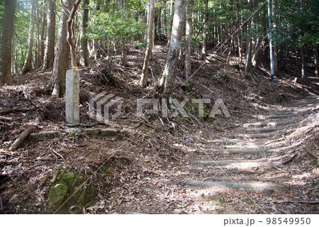 冬の阿波遍路道 鶴林寺道 冬の阿波遍路道 鶴林寺道 98549950